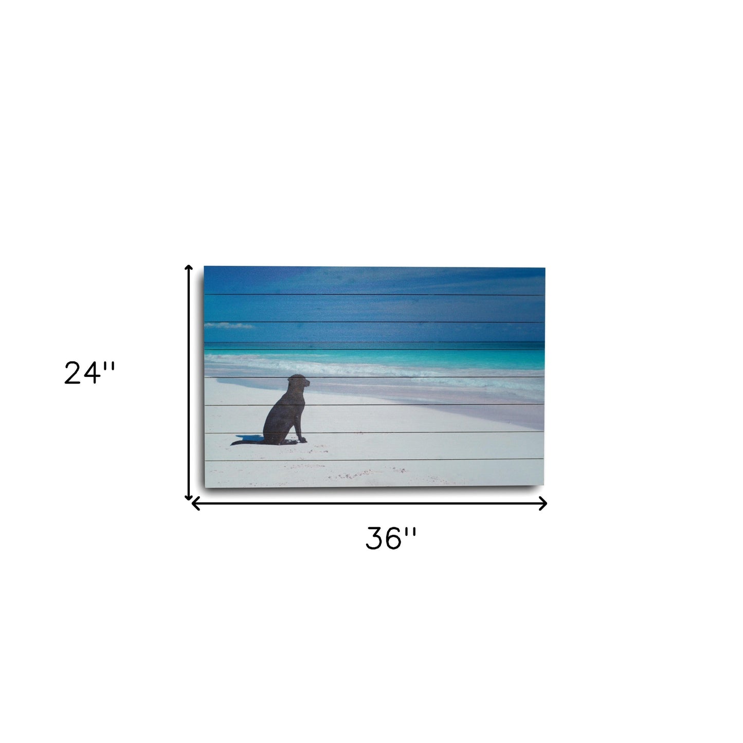 36" Energetic Dog at the Beach Unframed Photograph Wall Art