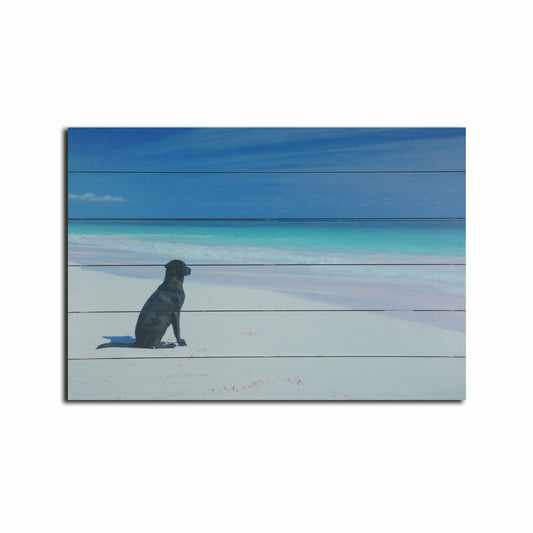 Energetic Dog at the Beach Unframed Photograph Wall Art