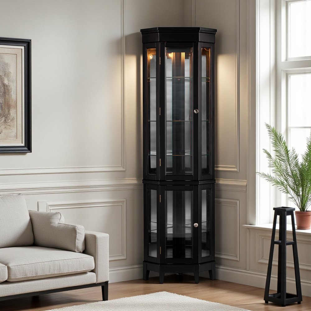 Elegant Black Lighted Curio Cabinet