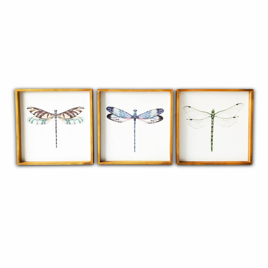 Set Of Three Dragonfly Wood Framed Canvas Wall Art Picture Frame Graphic Art Wall Art