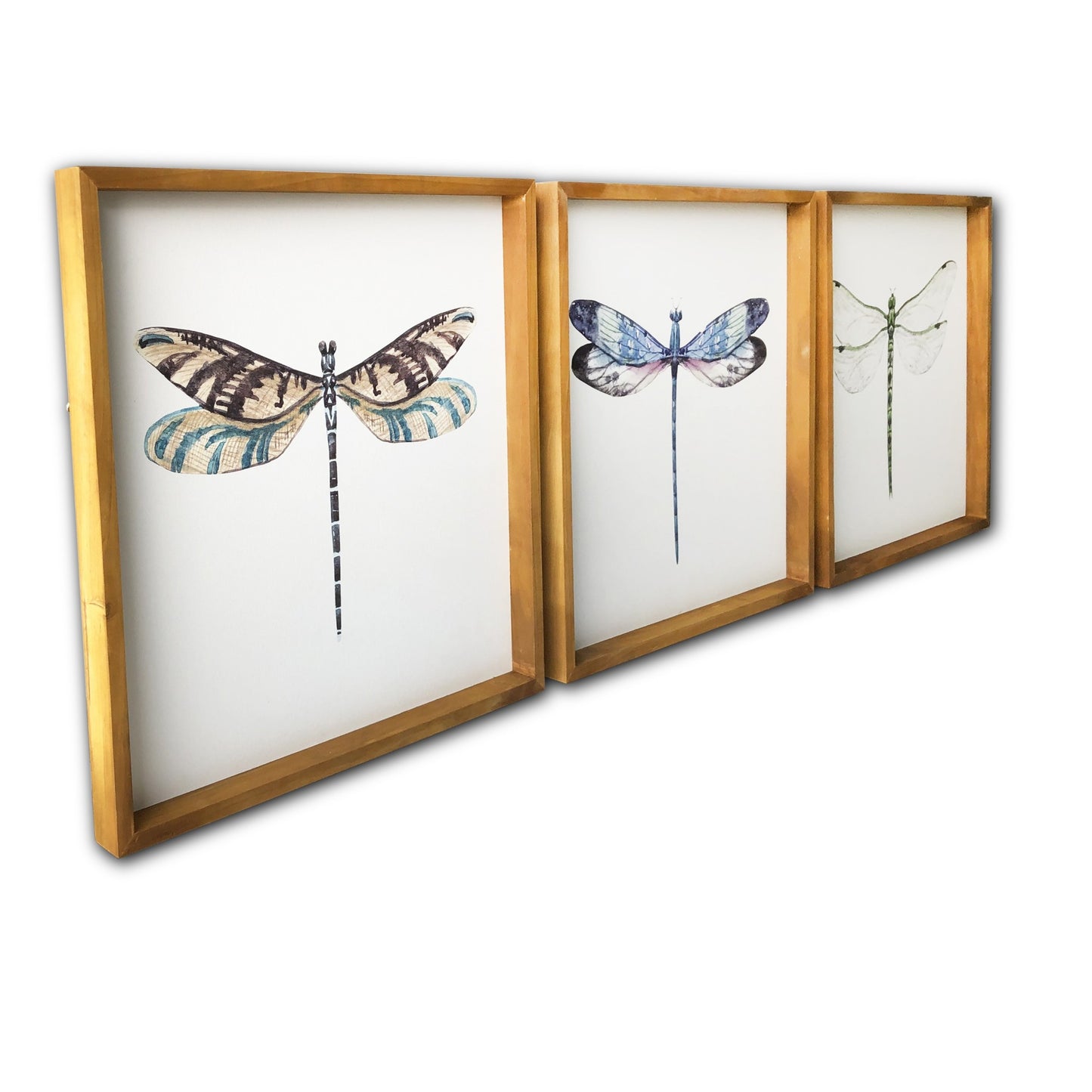Set Of Three Dragonfly Wood Framed Canvas Wall Art Picture Frame Graphic Art Wall Art