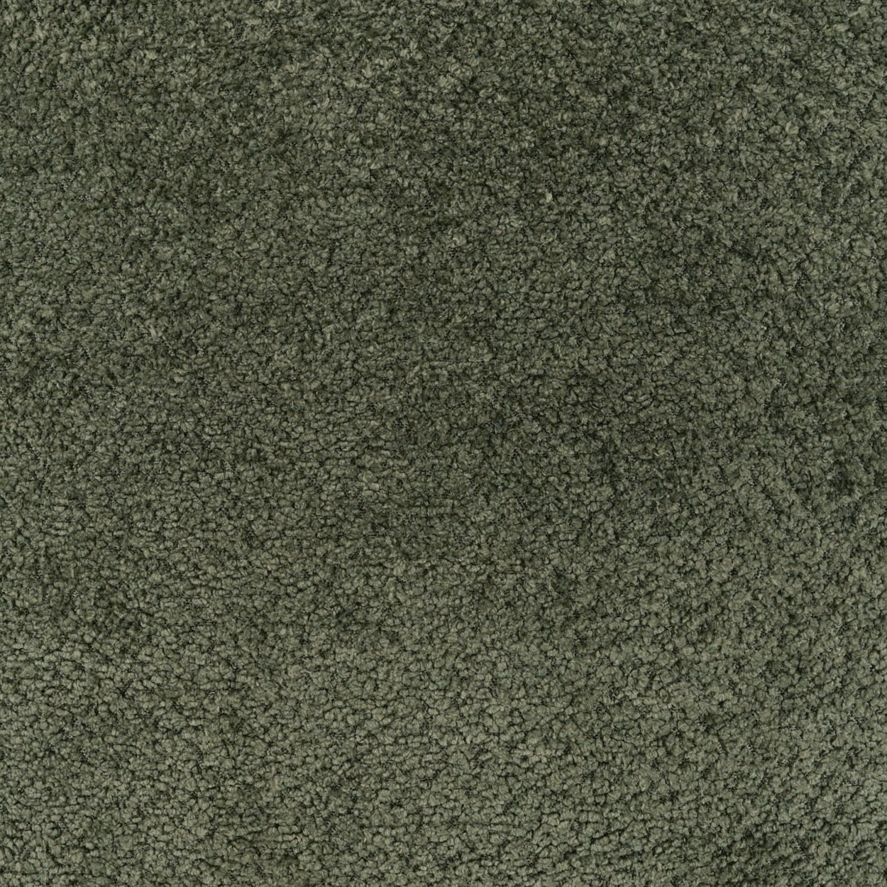 Olive green boucle fabric close-up on a textured pillow; knobby, fuzzy texture.