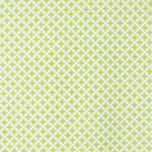 SCHUMACHER  RAOUL TEXTILES GRANADA PRINTS PRINTS ROBIN'S EGG   - 403B67