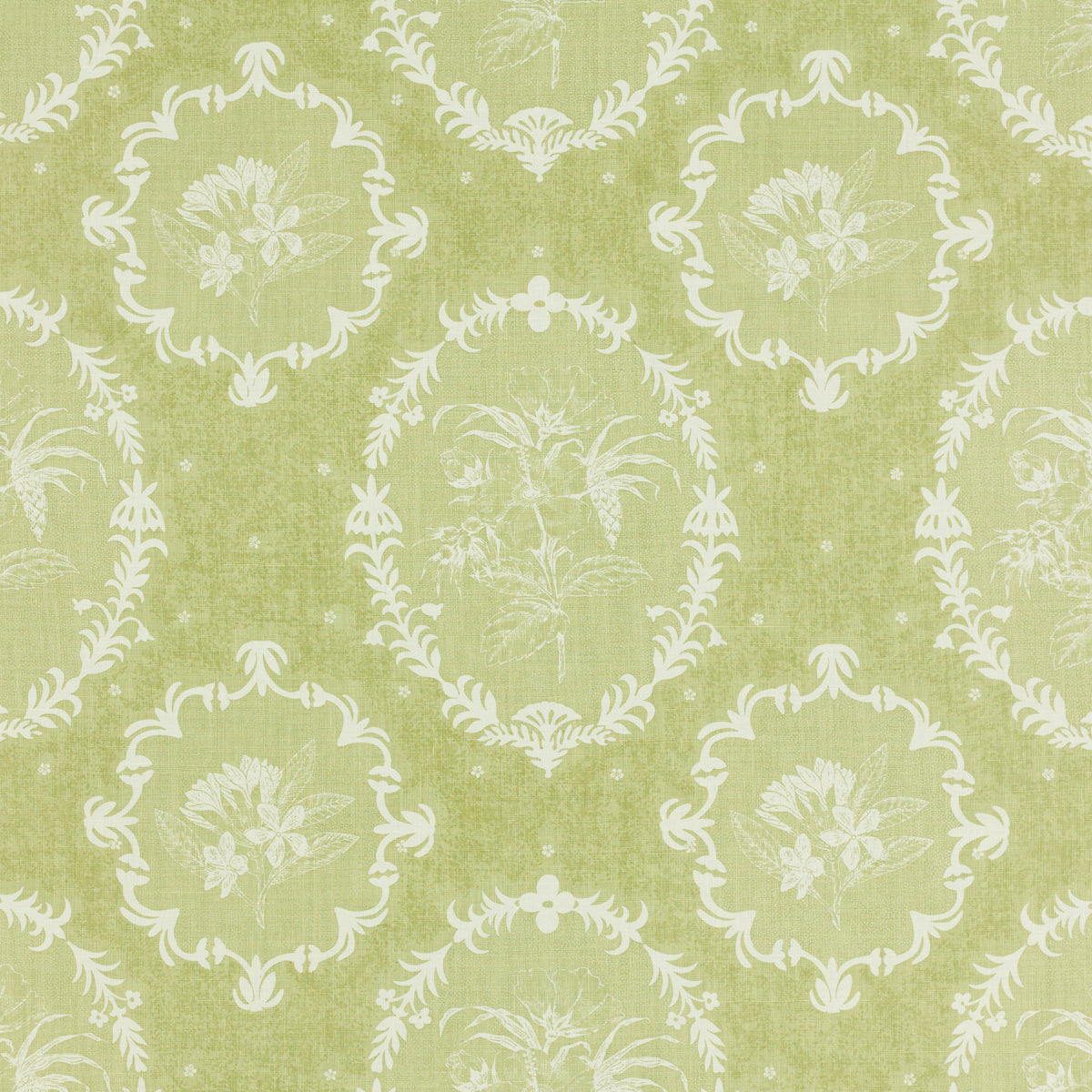SCHUMACHER  RAOUL TEXTILES CAMEO PRINTS PRINTS OLIVINE   - 406V69