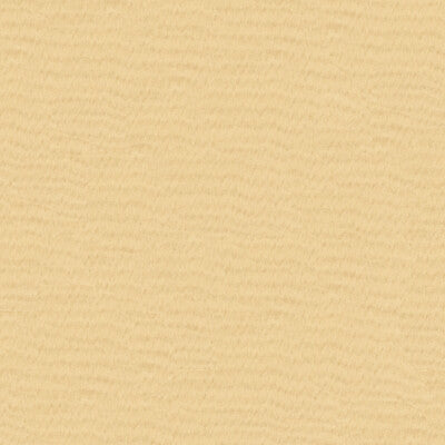 KRAVET BASICS SHEER TEXTURE BEIGE,BEIGE,   - 4106.16.0