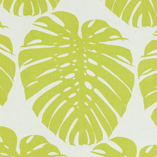 SCHUMACHER  RAOUL TEXTILES EXOTICUS PRINTS PRINTS SPRING   - 410B29