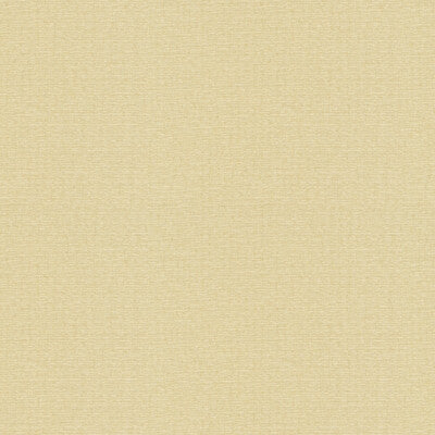 KRAVET BASICS SHEER TEXTURE IVORY,IVORY,   - 4113.16.0