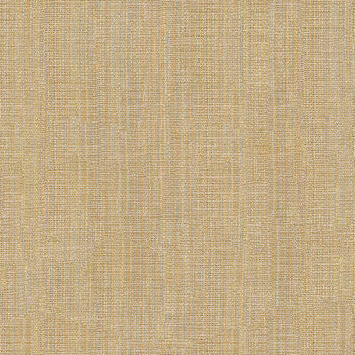 KRAVET BASICS SHEER TEXTURE BEIGE,BEIGE,   - 4118.16.0