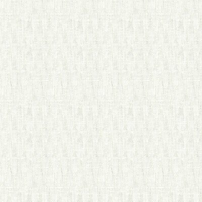 KRAVET BASICS SHEER TONE ON TONE WHITE,WHITE,   - 4126.1.0