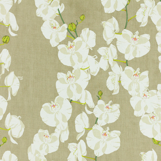 SCHUMACHER  RAOUL TEXTILES CELESTE PRINTS PRINTS FOG   - 412B02