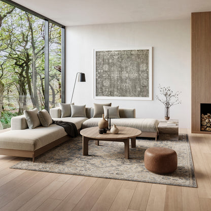 Vintage beige rug, 9' x 12', in a bright living room.
