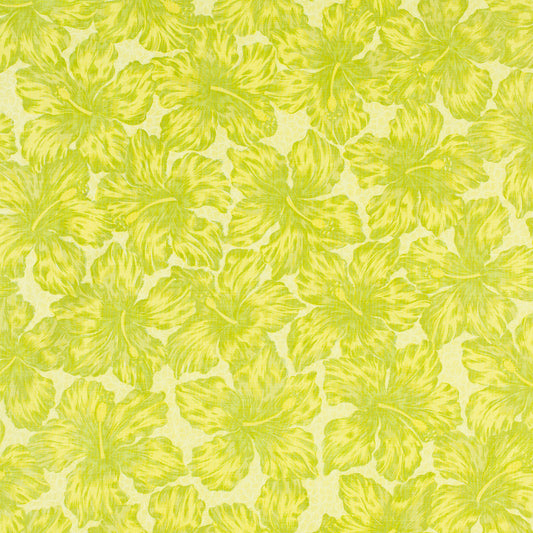 SCHUMACHER  RAOUL TEXTILES JAMAICA PRINTS PRINTS OLIVINE   - 413V69