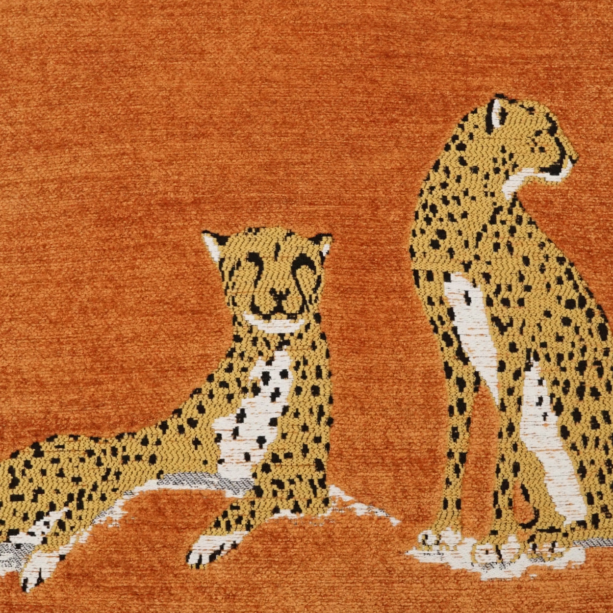 D.V. KAP HOME 4141-M-YARD Big Iris Fabric - Marmalade Animal, Novelty, Transitional  Orange   - Big Iris