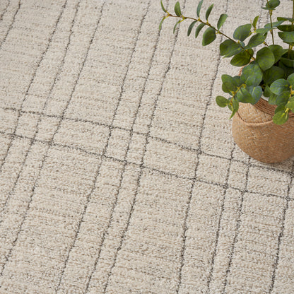Beige textured rug with a gray grid pattern; potted green plant in a woven wicker basket sits on the carpet.