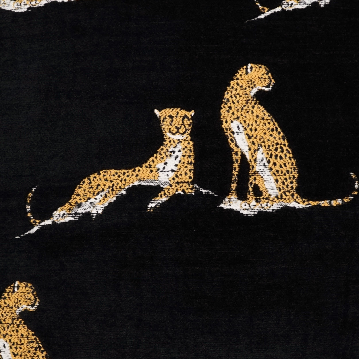 D.V. KAP HOME   24" x 24" Little Iris Pillow - Black Animal, Novelty, Transitional    - 4142-B-2424