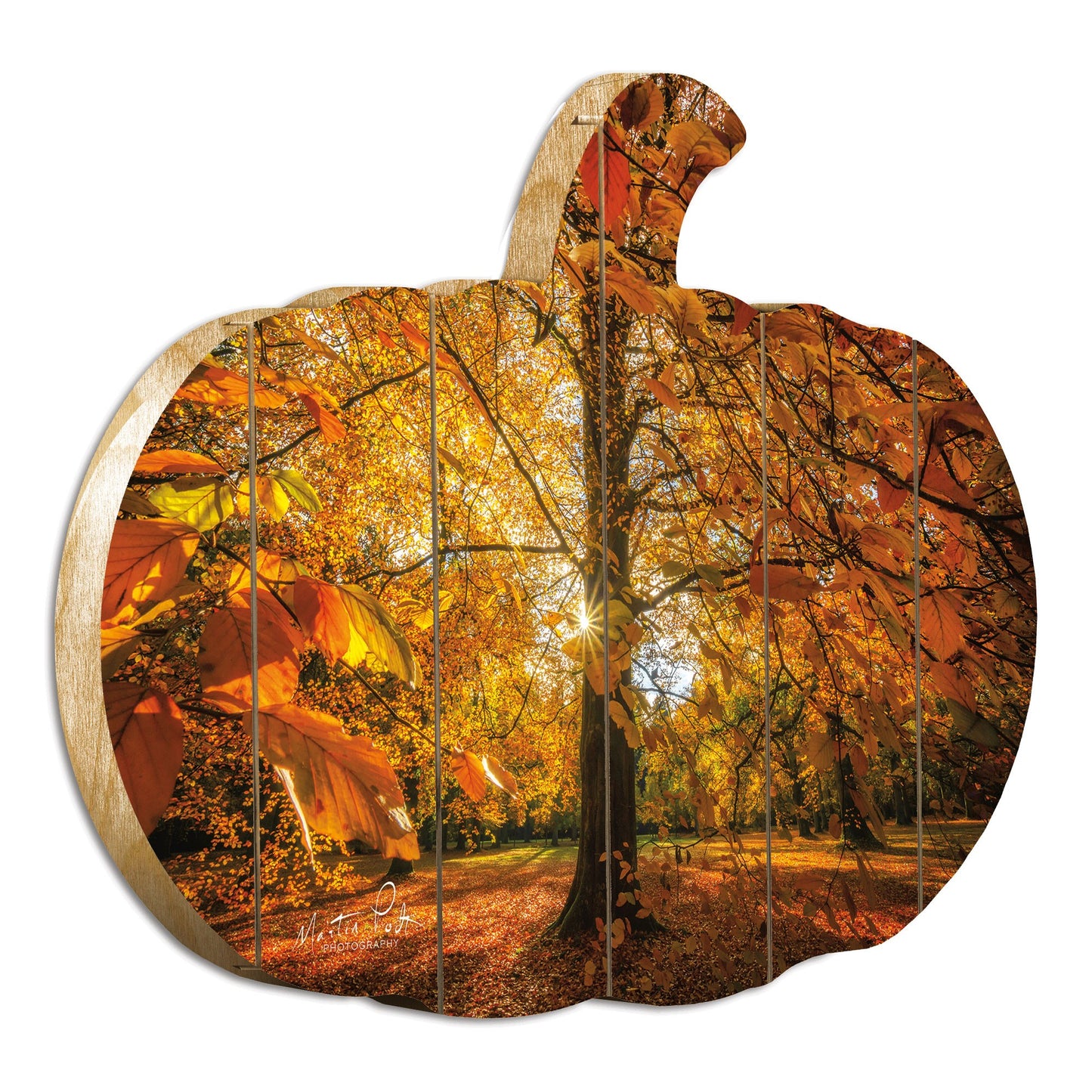 Autumn Leaves Unframed Print Wall Art