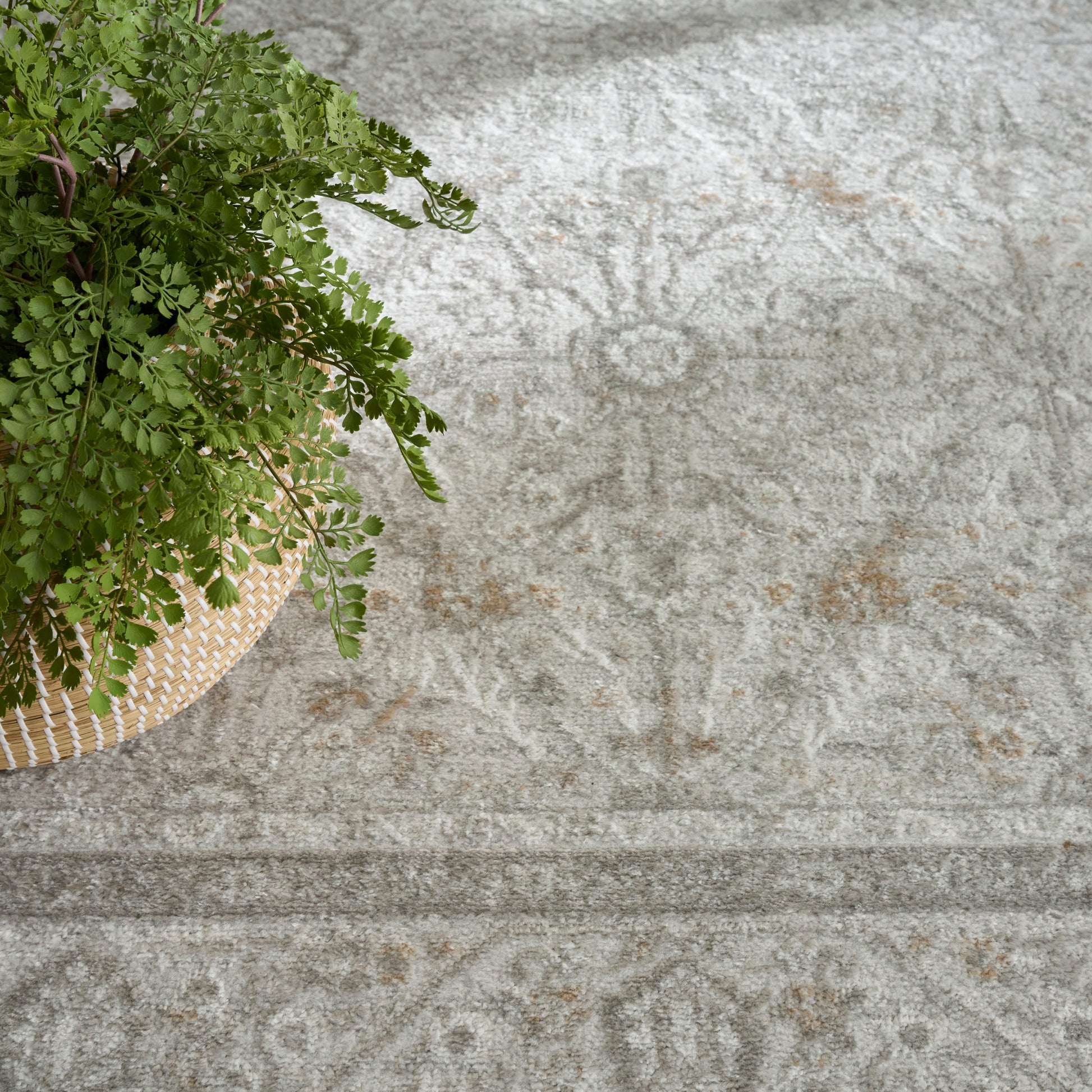 Lush green fern in a woven basket on a light gray patterned rug.