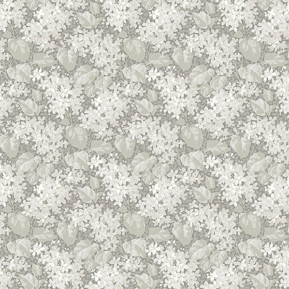 Soft grey floral wallpaper pattern with ivory blossoms and pale leaves in a seamless repeating layout.