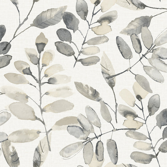York Wallcoverings Chesapeake Pinnate Charcoal Leaves Wallpaper Botanical Traditional Charcoal  Wallpaper - 4169-13910
