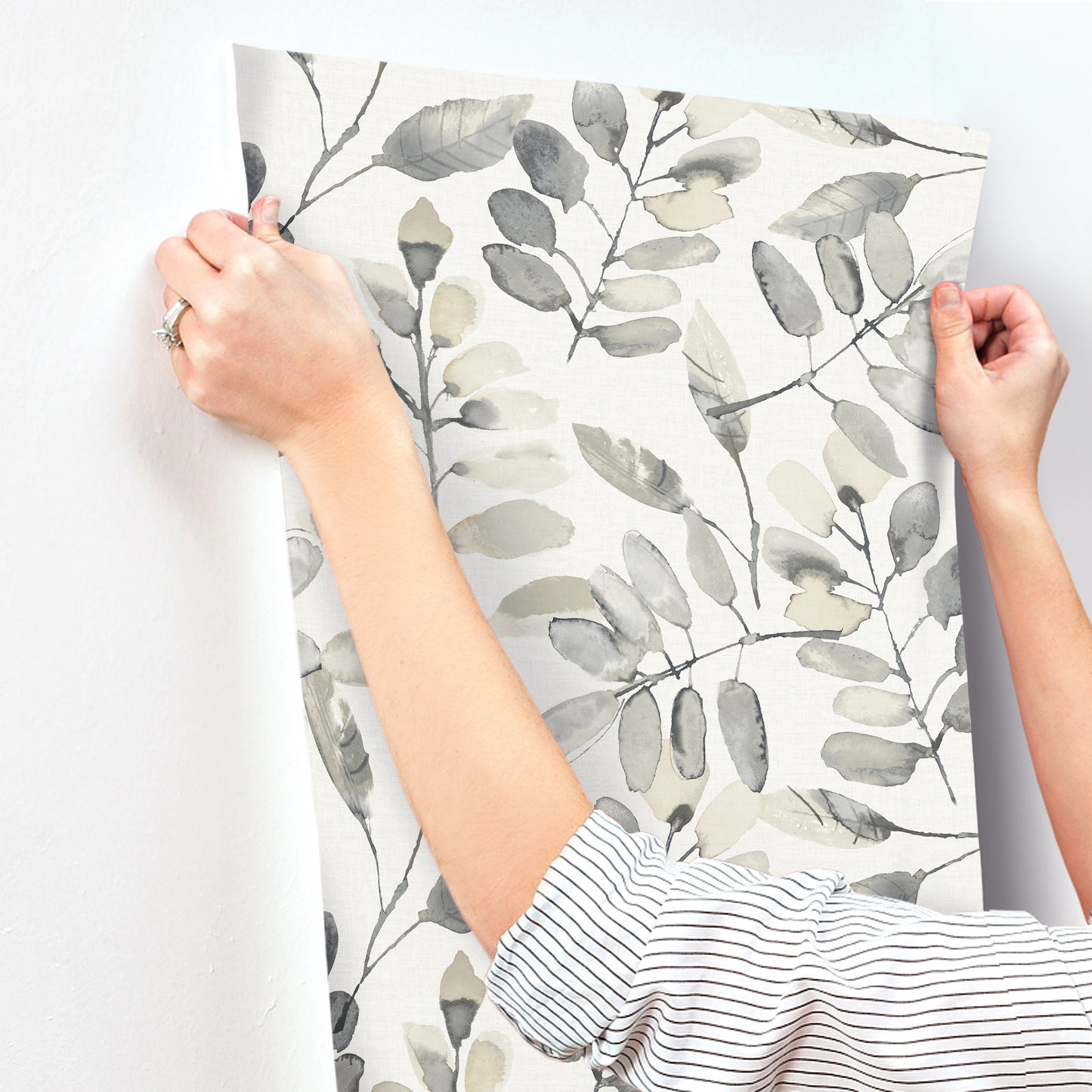 York Wallcoverings Chesapeake Pinnate Charcoal Leaves Wallpaper Botanical Traditional Charcoal  Wallpaper - 4169-13910