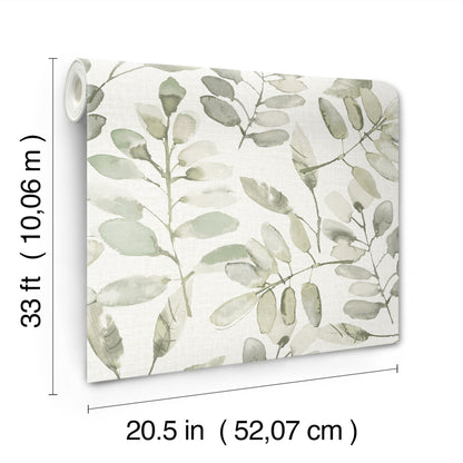 York Wallcoverings Chesapeake Pinnate Green Leaves Wallpaper Botanical Traditional Green  Wallpaper - 4169-13911