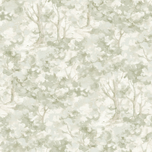 York Wallcoverings Chesapeake Thicket Sage Forest Wallpaper Woods & Forests Transitional Sage  Wallpaper - 4169-83109