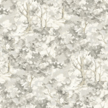 York Wallcoverings Chesapeake Thicket Charcoal Forest Wallpaper Woods & Forests Transitional Charcoal  Wallpaper - 4169-83110