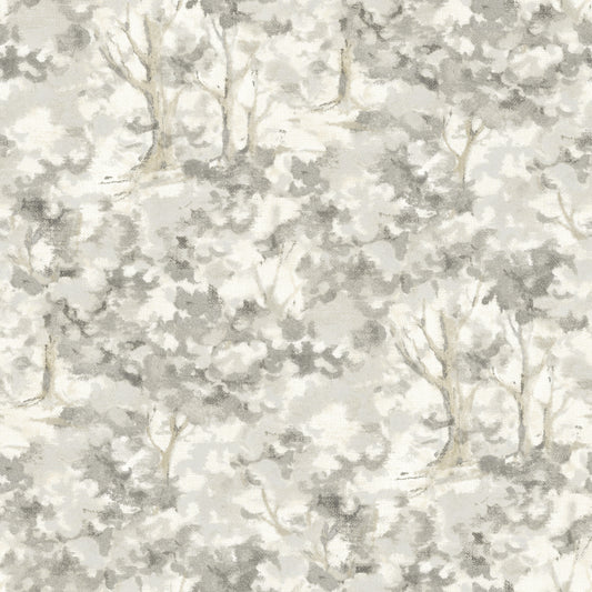 York Wallcoverings Chesapeake Thicket Charcoal Forest Wallpaper Woods & Forests Transitional Charcoal  Wallpaper - 4169-83110