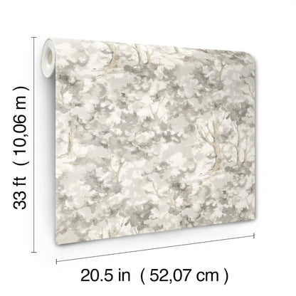 York Wallcoverings Chesapeake Thicket Charcoal Forest Wallpaper Woods & Forests Transitional Charcoal  Wallpaper - 4169-83110