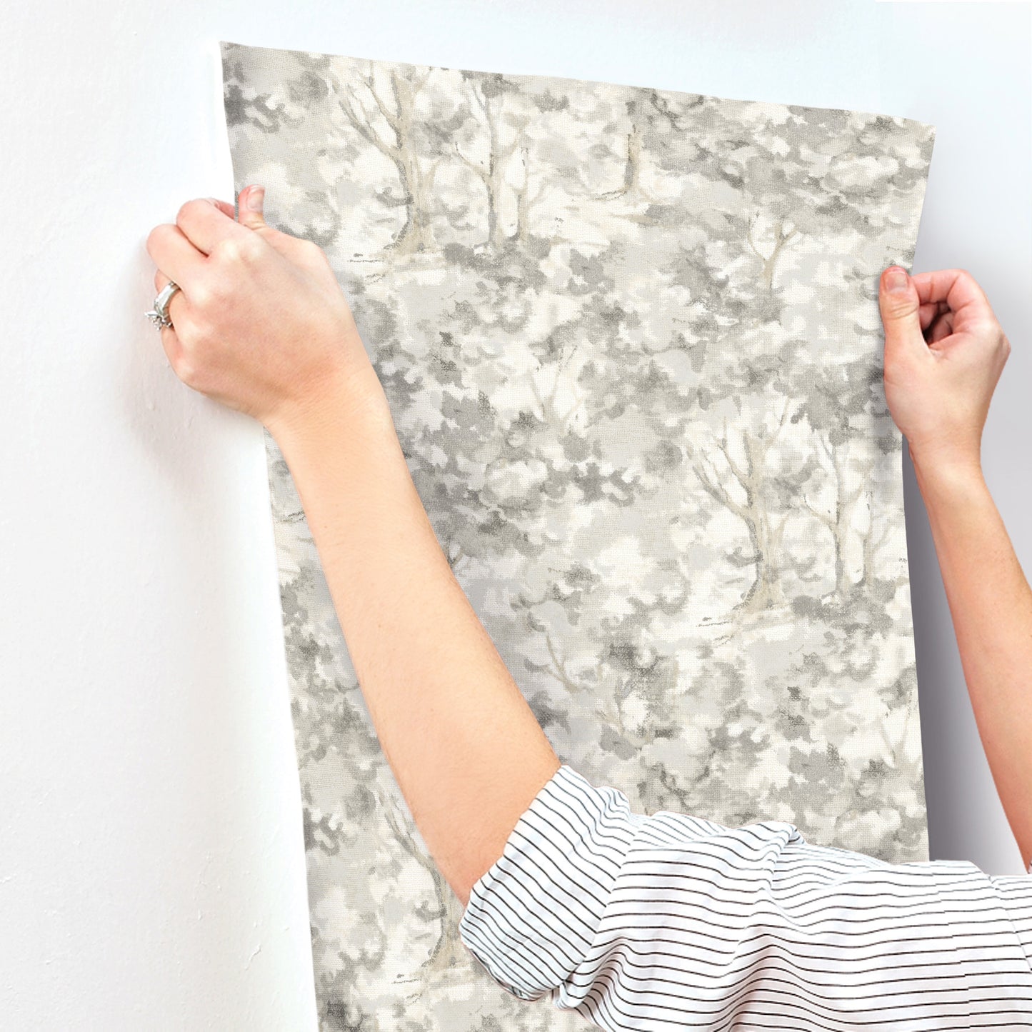 York Wallcoverings Chesapeake Thicket Charcoal Forest Wallpaper Woods & Forests Transitional Charcoal  Wallpaper - 4169-83110