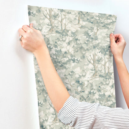 York Wallcoverings Chesapeake Thicket Teal Forest Wallpaper Woods & Forests Transitional Teal  Wallpaper - 4169-83111