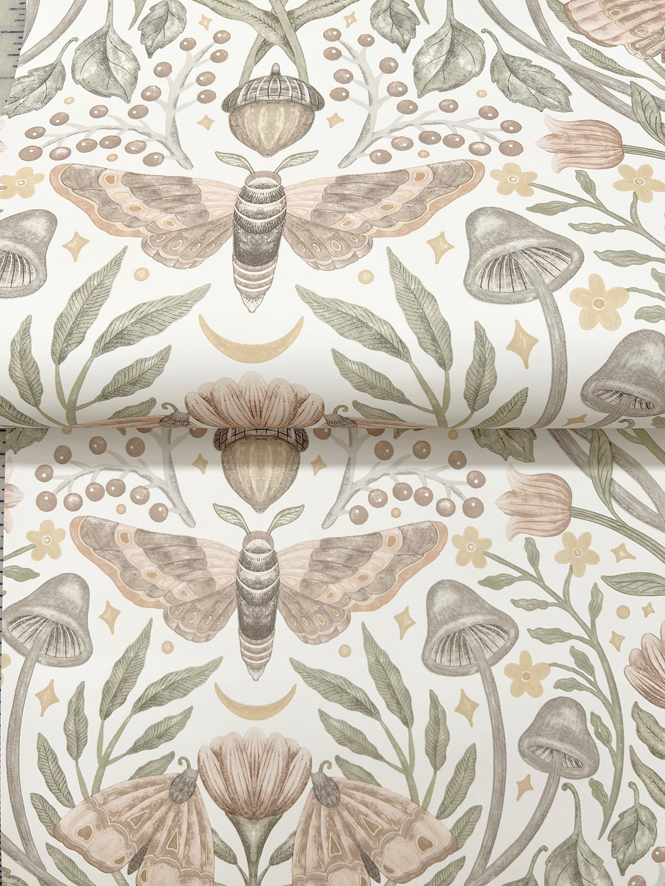 York Wallcoverings Chesapeake Mystic Moth Blush Forest Magic Wallpaper Animals Eclectic Blush  Wallpaper - 4169-83119