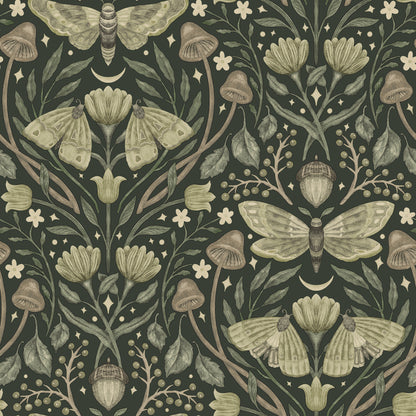 York Wallcoverings Chesapeake Mystic Moth Dark Green Forest Magic Wallpaper Animals Eclectic Dark Green  Wallpaper - 4169-83120