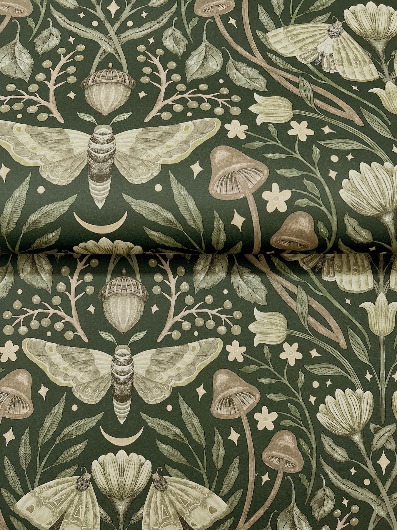 York Wallcoverings Chesapeake Mystic Moth Dark Green Forest Magic Wallpaper Animals Eclectic Dark Green  Wallpaper - 4169-83120