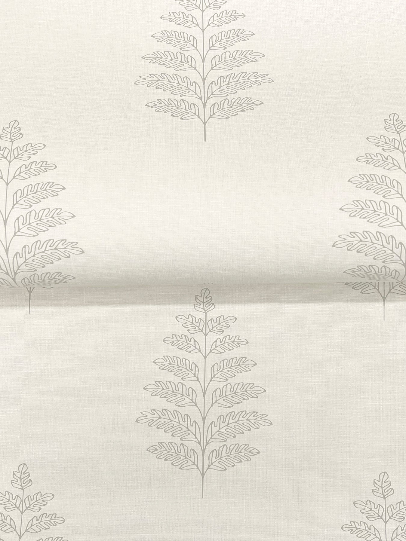 York Wallcoverings Chesapeake Frond Cream Leaf Wallpaper Botanical Farmhouse Cream  Wallpaper - 4169-83125