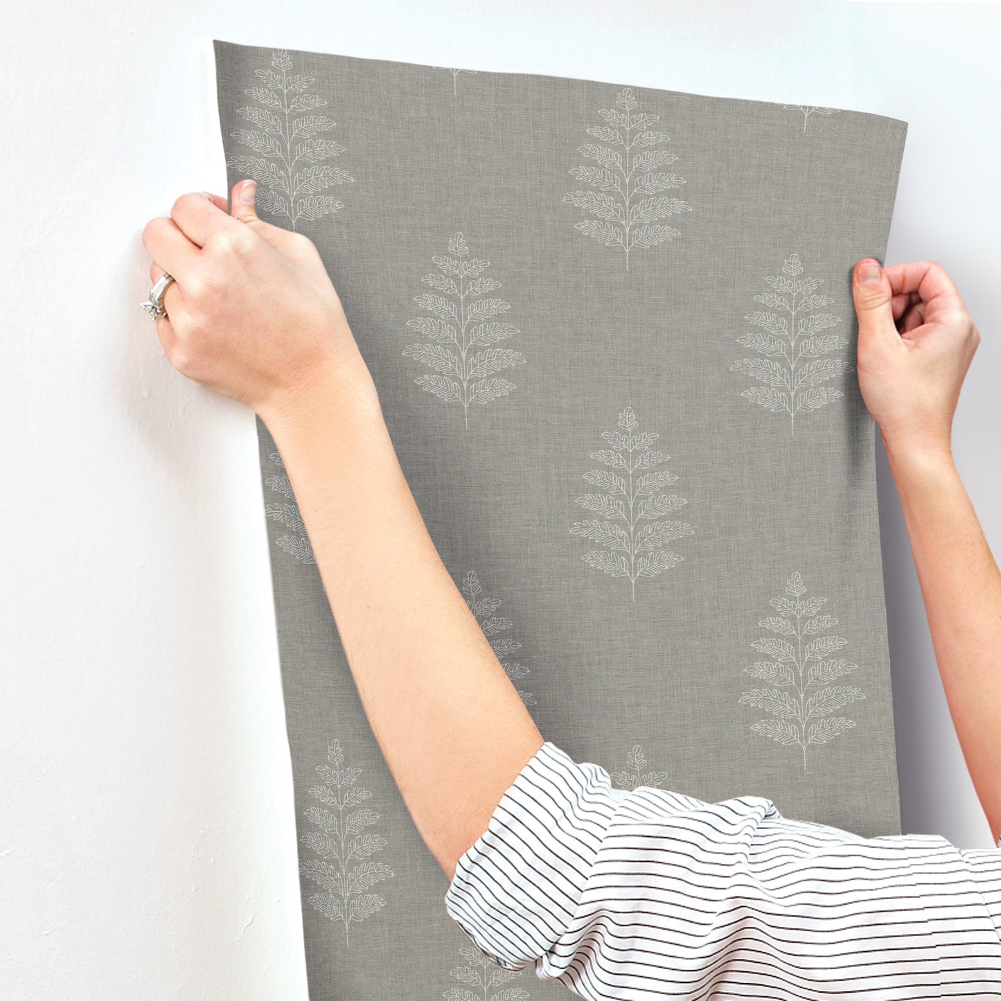 York Wallcoverings Chesapeake Frond Charcoal Leaf Wallpaper Botanical Farmhouse Charcoal  Wallpaper - 4169-83128