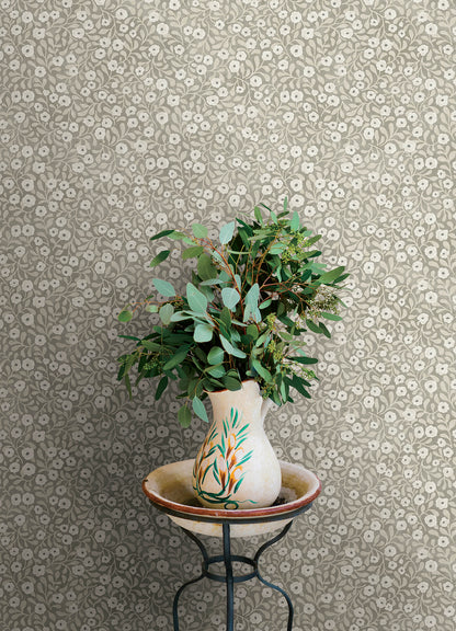 York Wallcoverings Chesapeake Poppy Trail Grey Floral Wallpaper Botanical Farmhouse Grey  Wallpaper - 4169-83131