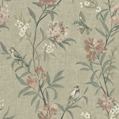 York Wallcoverings Chesapeake Tea Olive Green Finch Frolic Wallpaper Animals Transitional Green  Wallpaper - 4169-83138