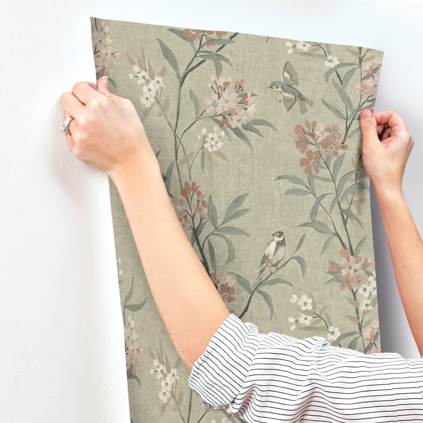 York Wallcoverings Chesapeake Tea Olive Green Finch Frolic Wallpaper Animals Transitional Green  Wallpaper - 4169-83138