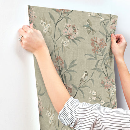 York Wallcoverings Chesapeake Tea Olive Green Finch Frolic Wallpaper Animals Transitional Green  Wallpaper - 4169-83138