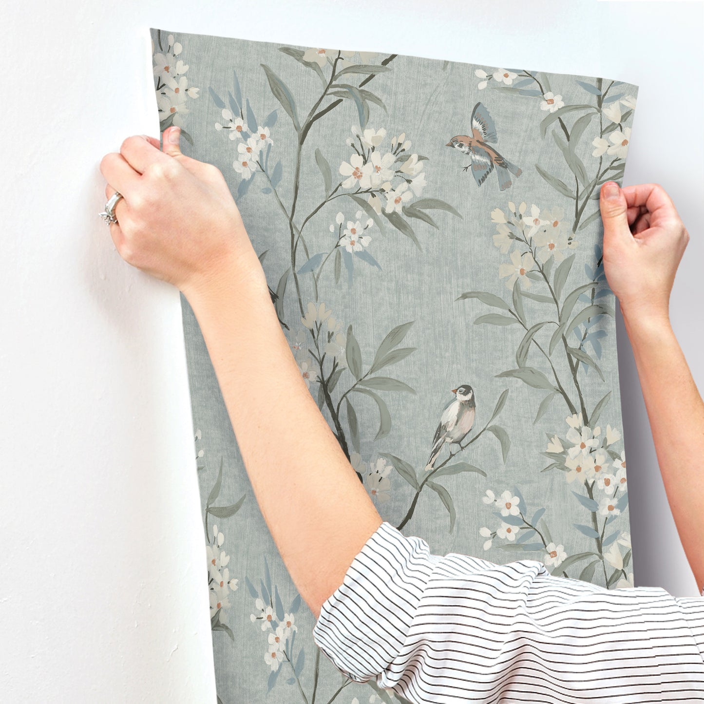 York Wallcoverings Chesapeake Tea Olive Blue Finch Frolic Wallpaper Animals Transitional Blue  Wallpaper - 4169-83139