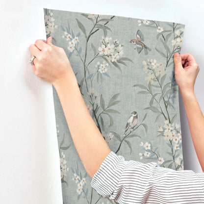 York Wallcoverings Chesapeake Tea Olive Blue Finch Frolic Wallpaper Animals Transitional Blue  Wallpaper - 4169-83139