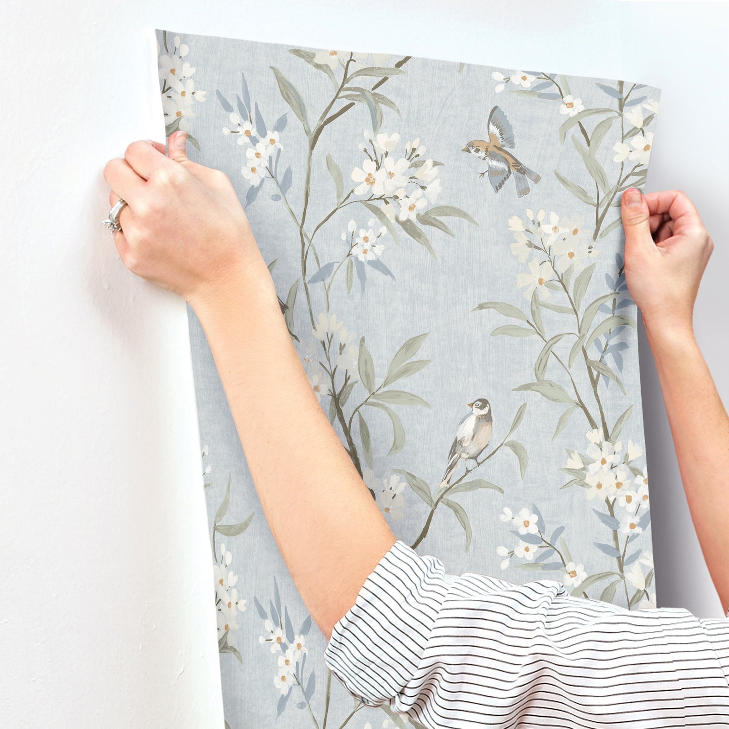 York Wallcoverings Chesapeake Tea Olive Light Blue Finch Frolic Wallpaper Animals Transitional Light Blue  Wallpaper - 4169-83140