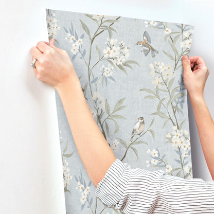 York Wallcoverings Chesapeake Tea Olive Light Blue Finch Frolic Wallpaper Animals Transitional Light Blue  Wallpaper - 4169-83140