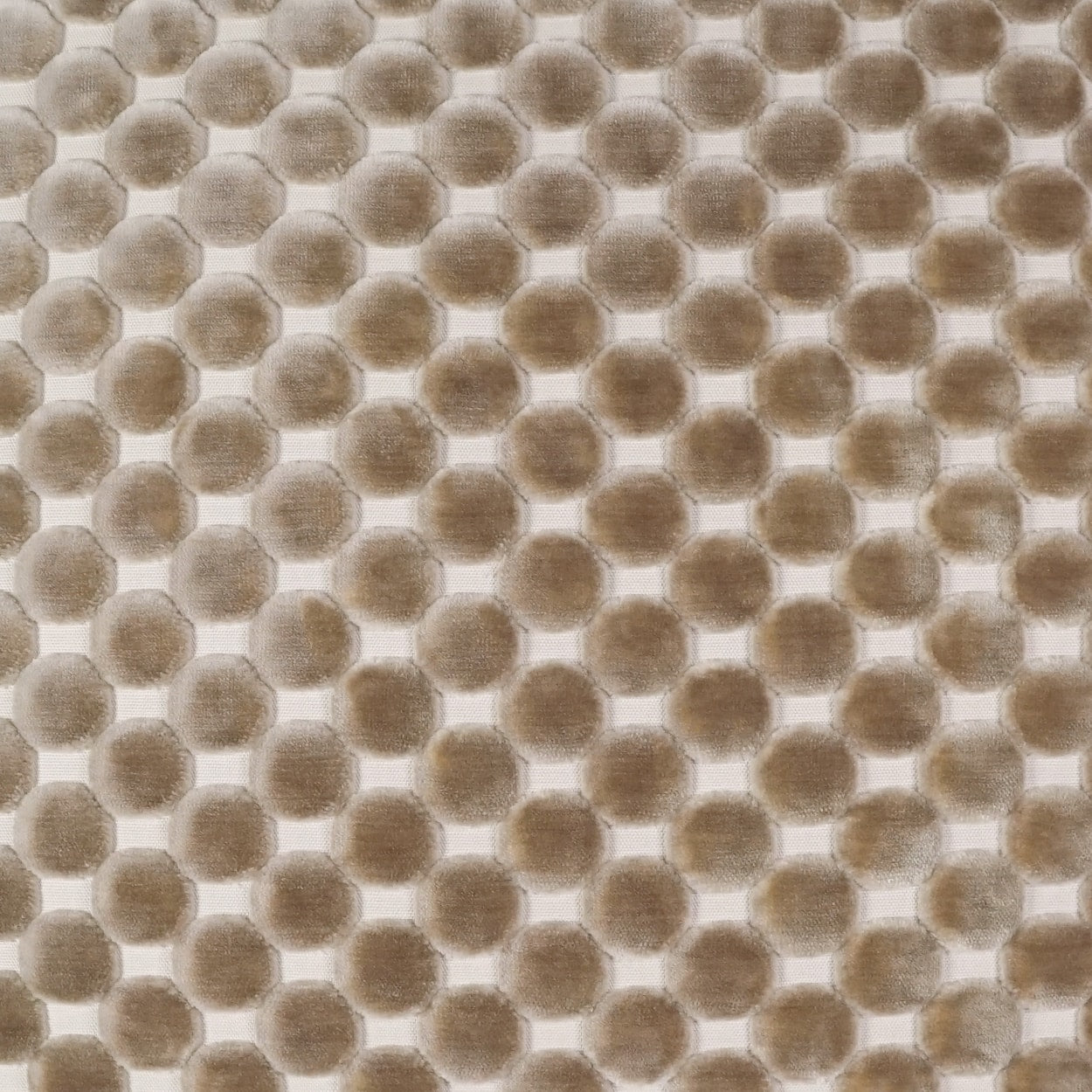 Beige-brown fabric with a raised circular dot pattern in a uniform grid; textured upholstery or drapery textile.