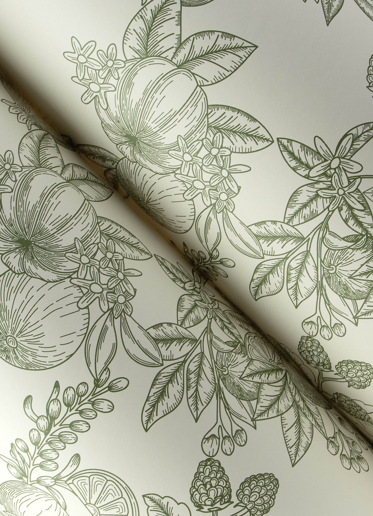 Beige textile with olive-green botanical line-art featuring leaves and fruit; decorative fabric or wallpaper pattern.