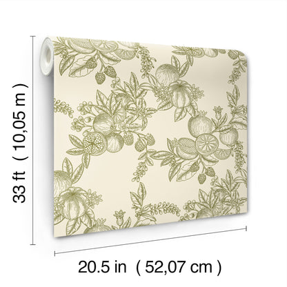 Beige wallpaper with olive-green citrus botanical pattern (lemons/oranges) and leaves; rolled edge, 20.5 in x 33 ft.