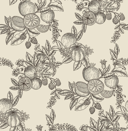 York Wallcoverings A-Street Prints Gerty Black Fruit Toile Wallpaper Botanical Modern Black  Wallpaper - 4173-27637