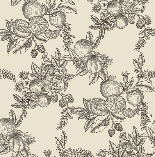 York Wallcoverings A-Street Prints Gerty Black Fruit Toile Wallpaper Botanical Modern Black  Wallpaper - 4173-27637