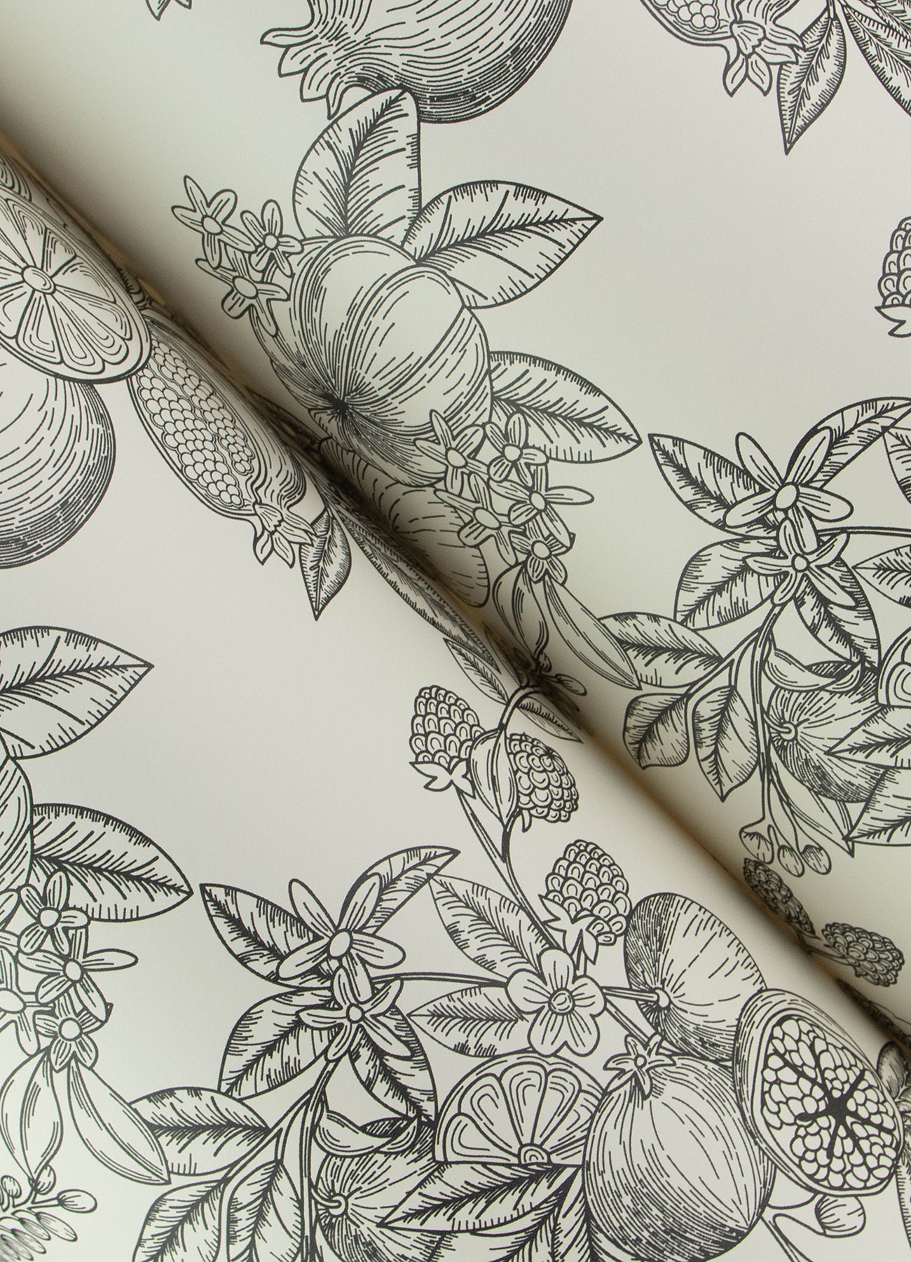 York Wallcoverings A-Street Prints Gerty Black Fruit Toile Wallpaper Botanical Modern Black  Wallpaper - 4173-27637